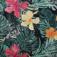 TROPIC 4
